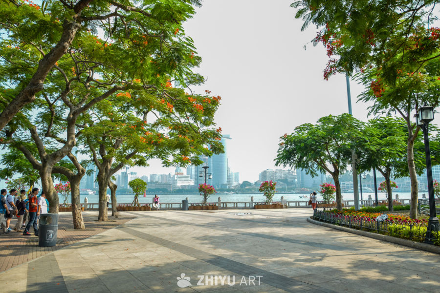 厦门鼓浪屿风光