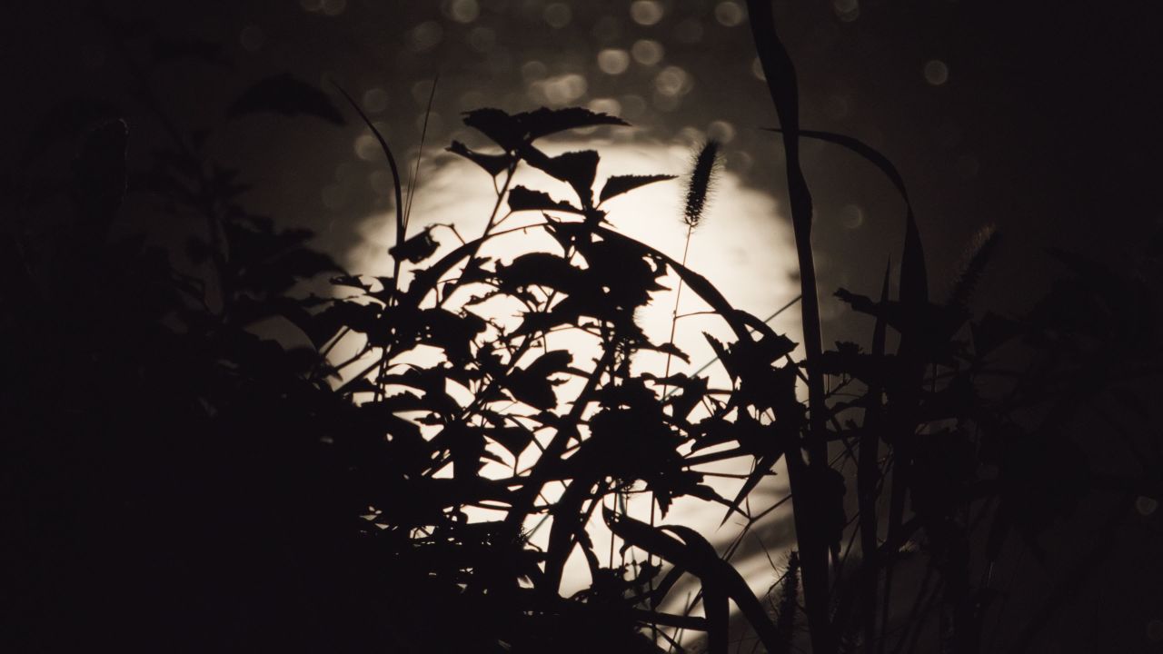 月亮月球夜晚天空皎洁明月长焦特写延时摄影 20
