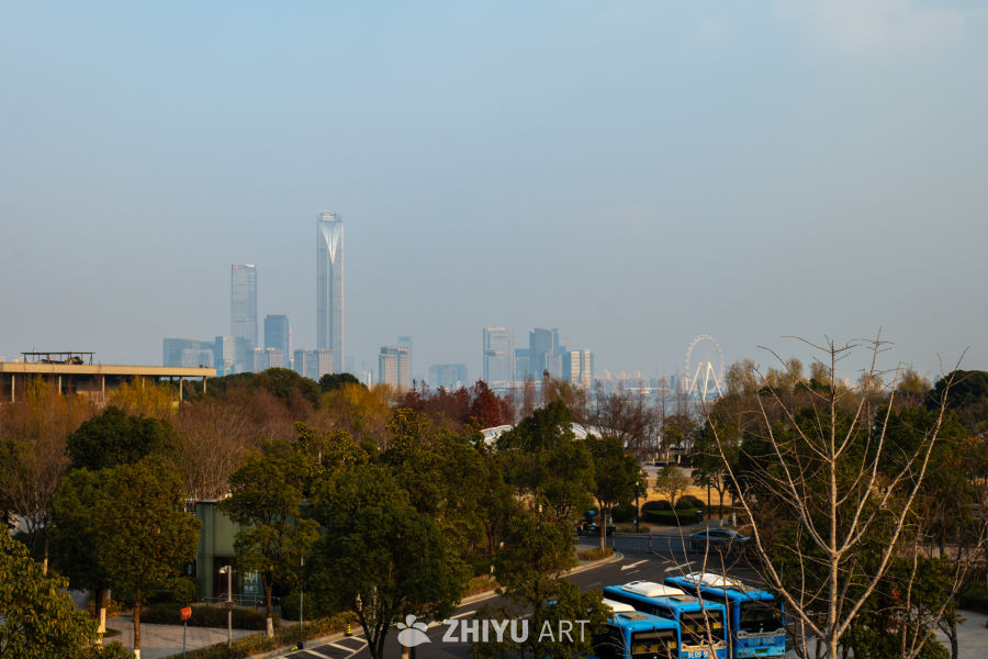 城市晨景：高楼与绿树相映