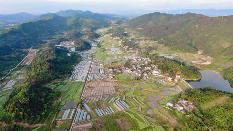 山川丘陵农田农业种植航拍图 