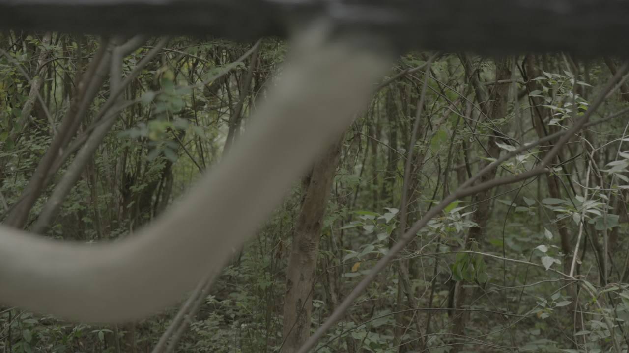 如意峰 16