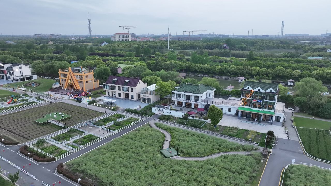4K航拍上海金山区山阳田园 11
