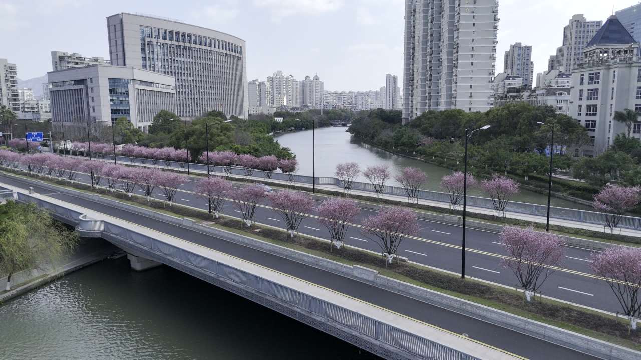城市河畔的春天