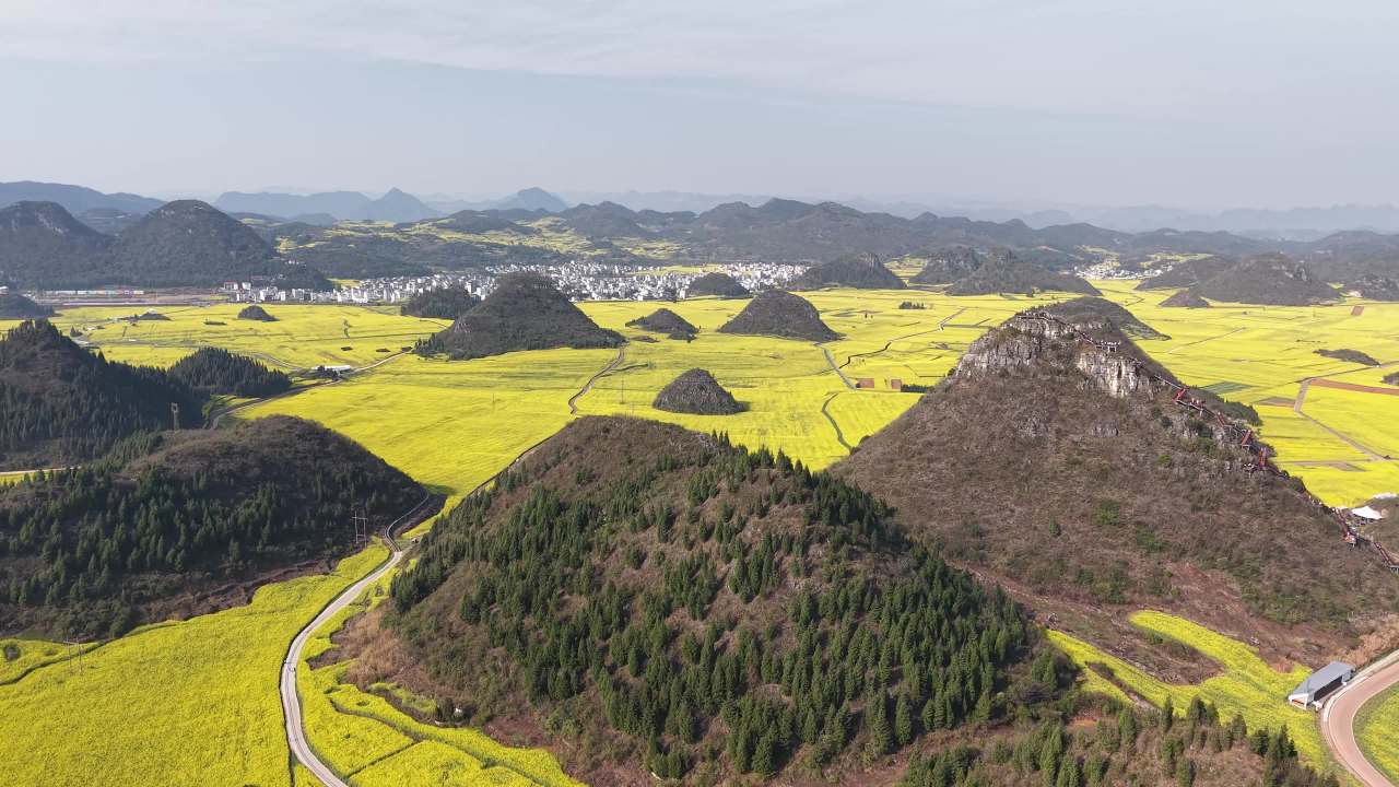 油菜花海与青山