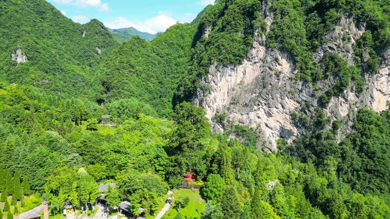 航拍湖北神农架神农坛景区千年杉王