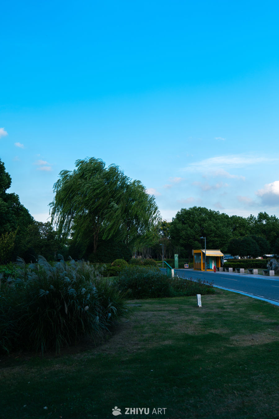 蓝天下的宁静公园