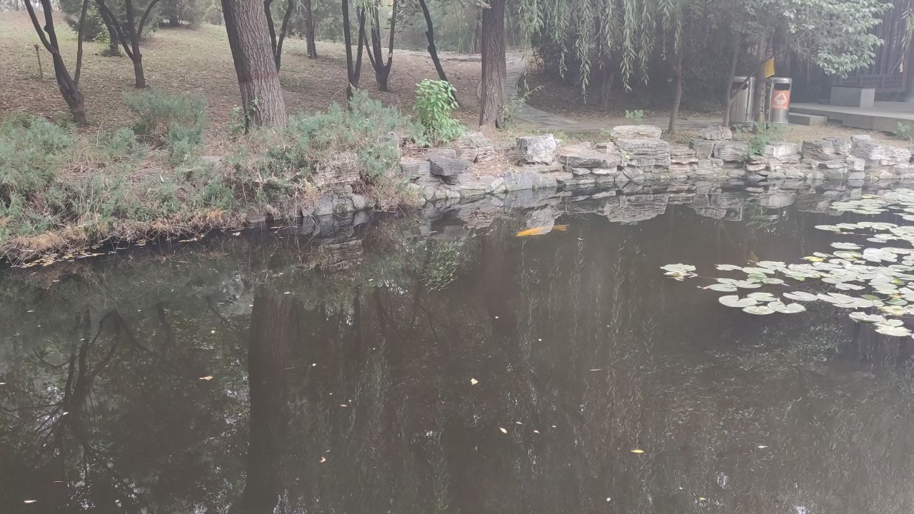 大学 保定 24