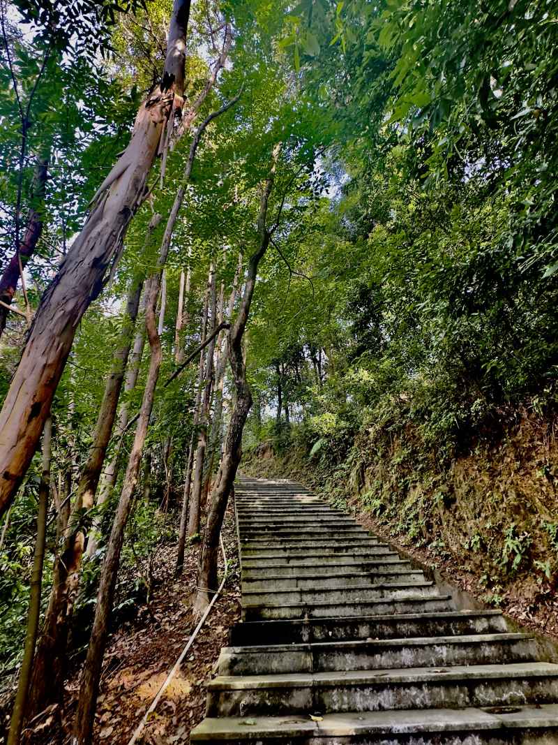 山路