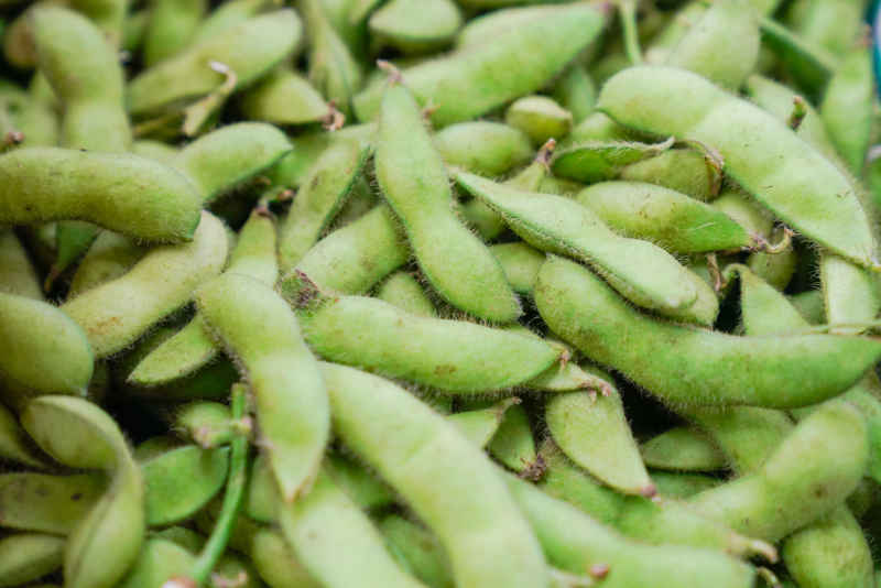 菜场的蔬菜 11