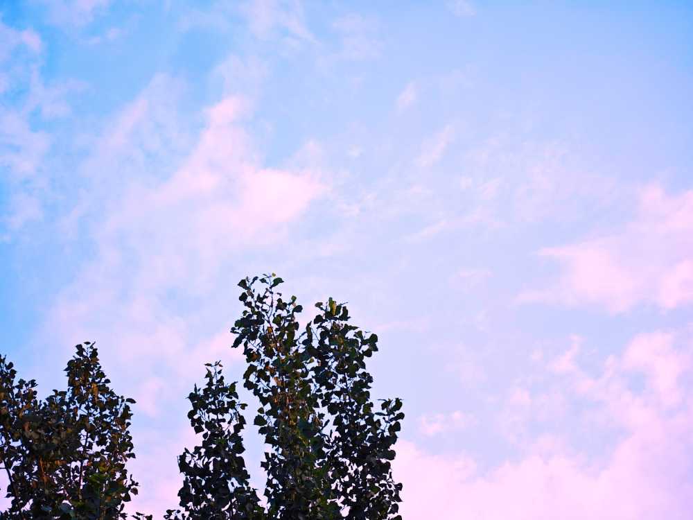 天空