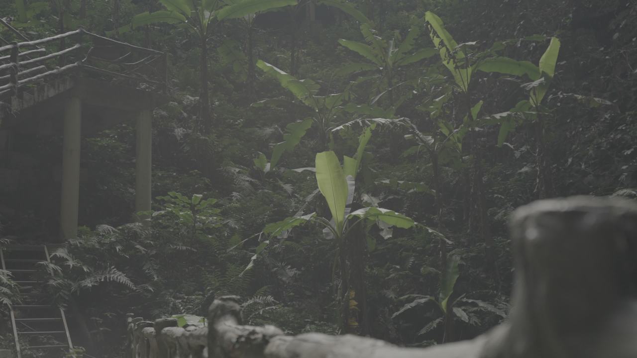 天坑 9