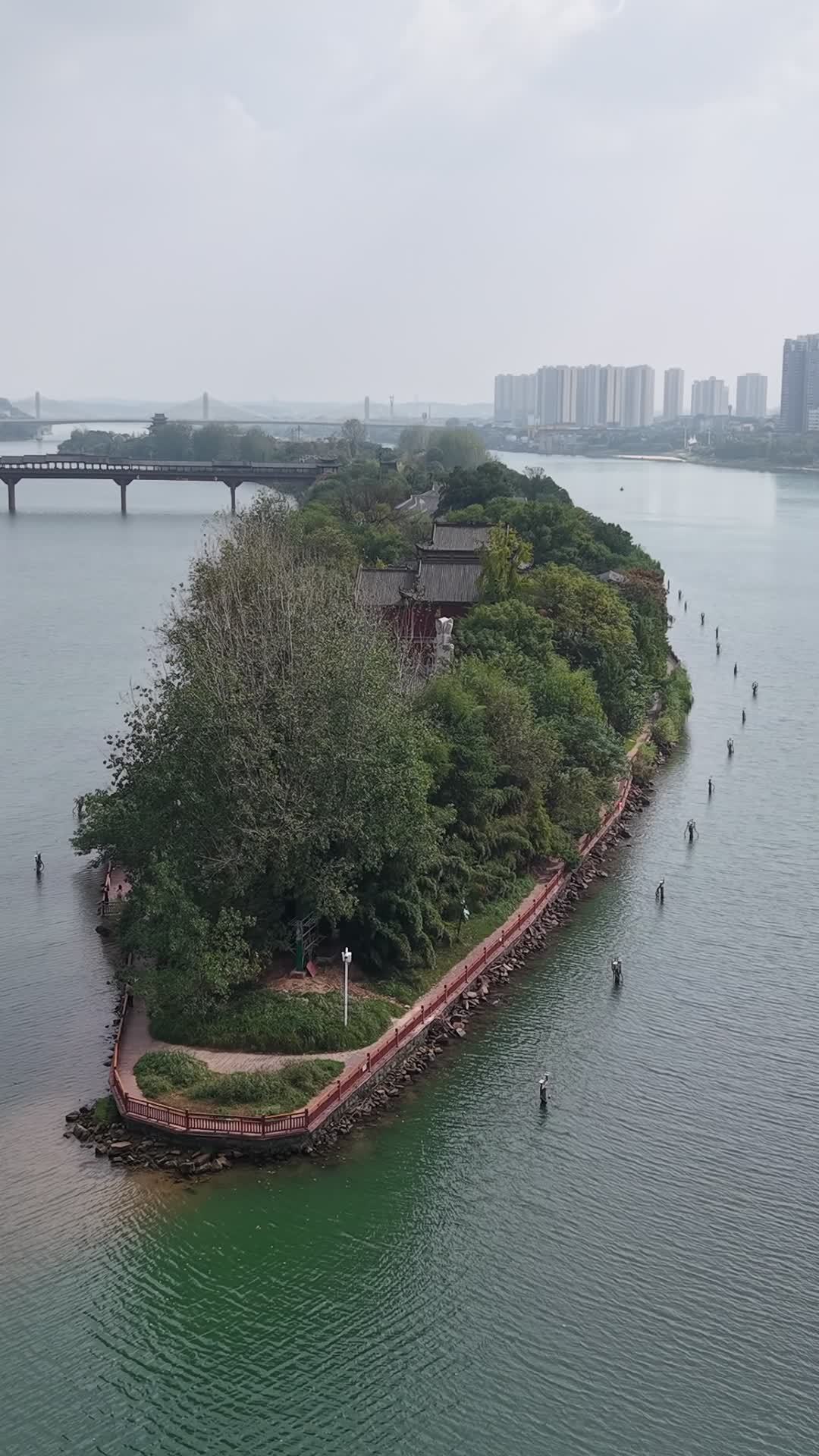河中小岛的宁静时光