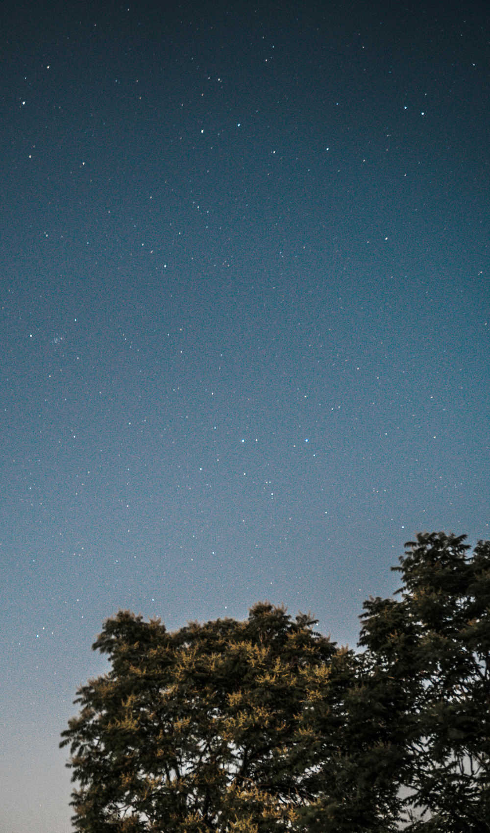 星空 满天繁星 星星 天空 夜晚