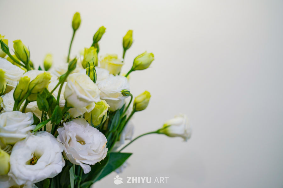 新春花店里的美好 32