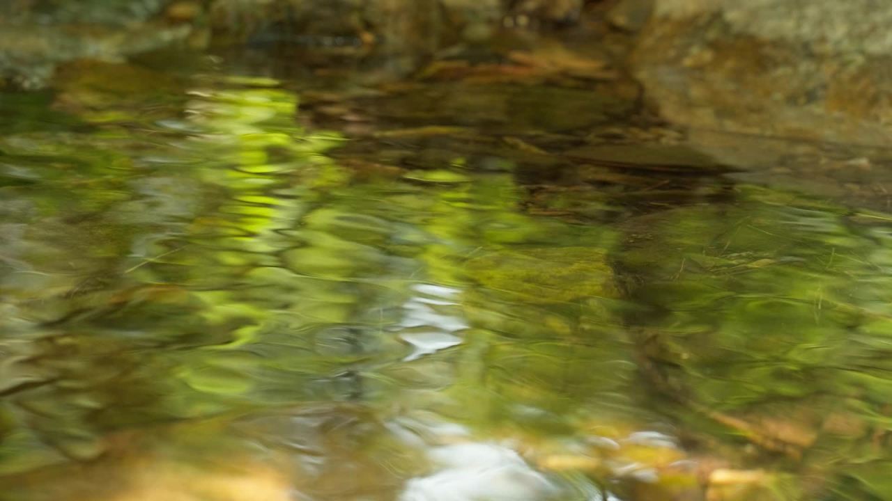 山泉水矿泉水潺潺小溪流水瀑布 16