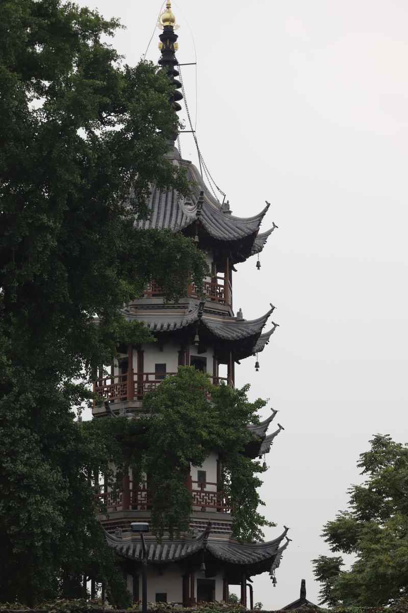 塔