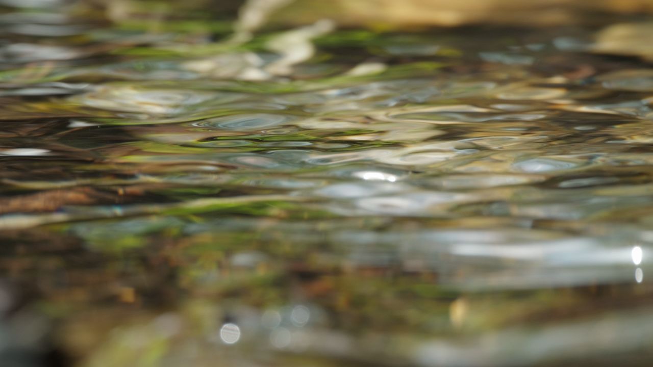 清澈山泉水温泉矿泉水小溪山涧 44