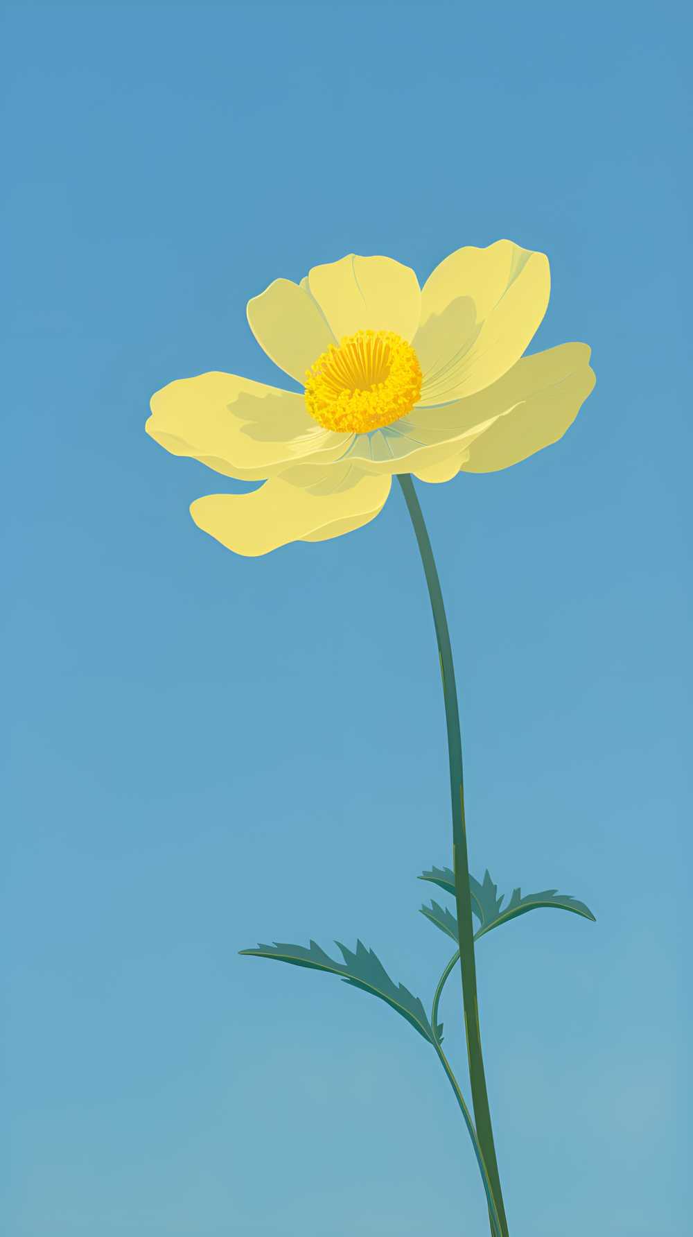 摄影图花花治愈