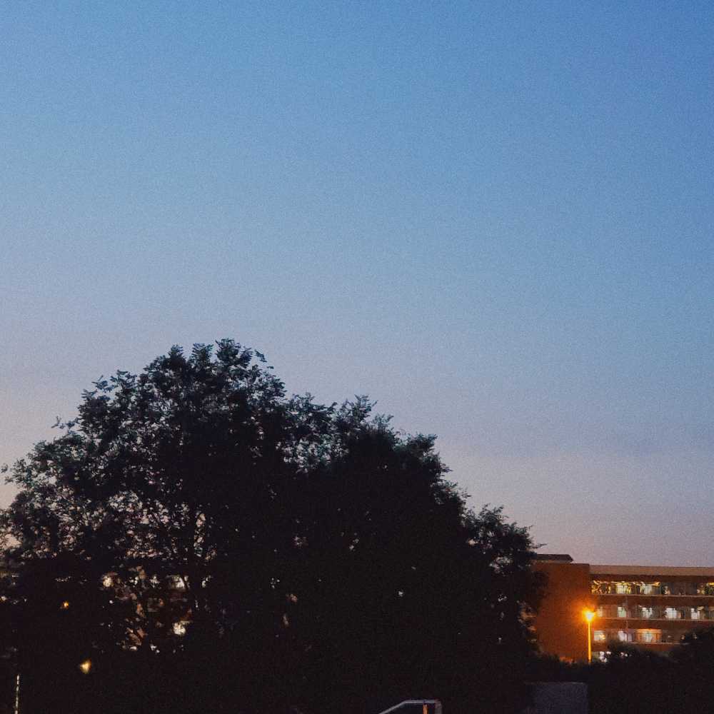 夜