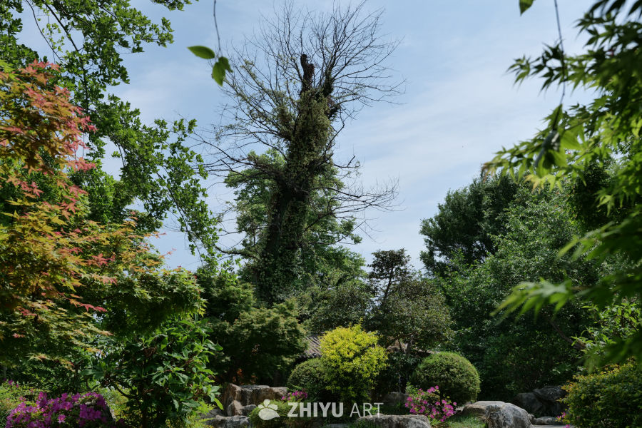 景区一角 3