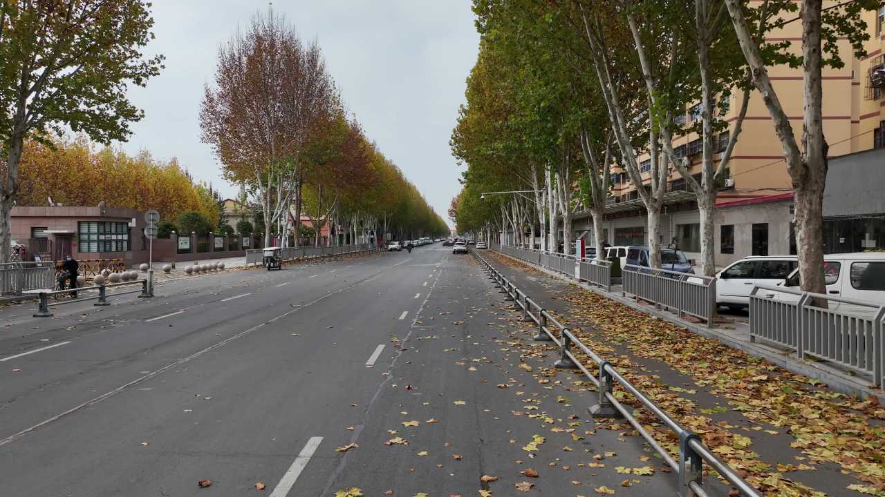 秋日城市街道