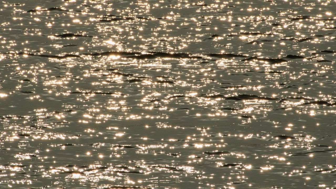 江河湖海波浪波光粼粼