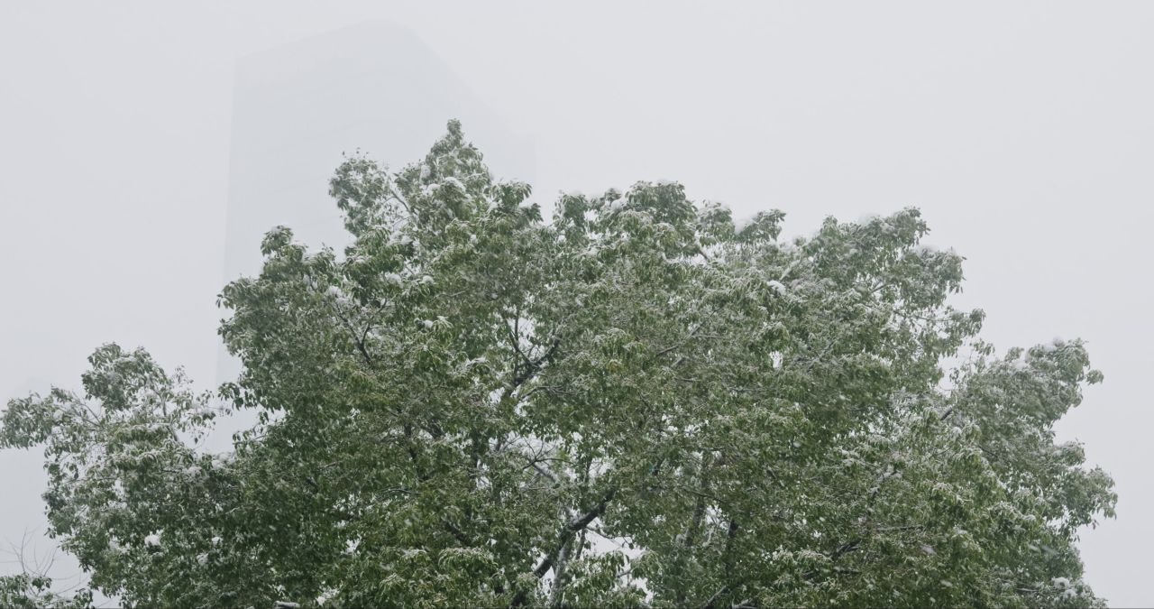湖南长沙杜甫江阁城市建筑雪景 6