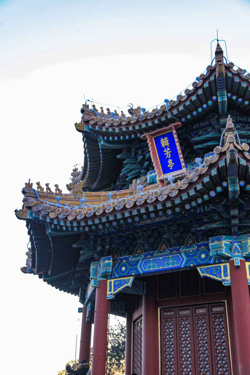 北京城 15
