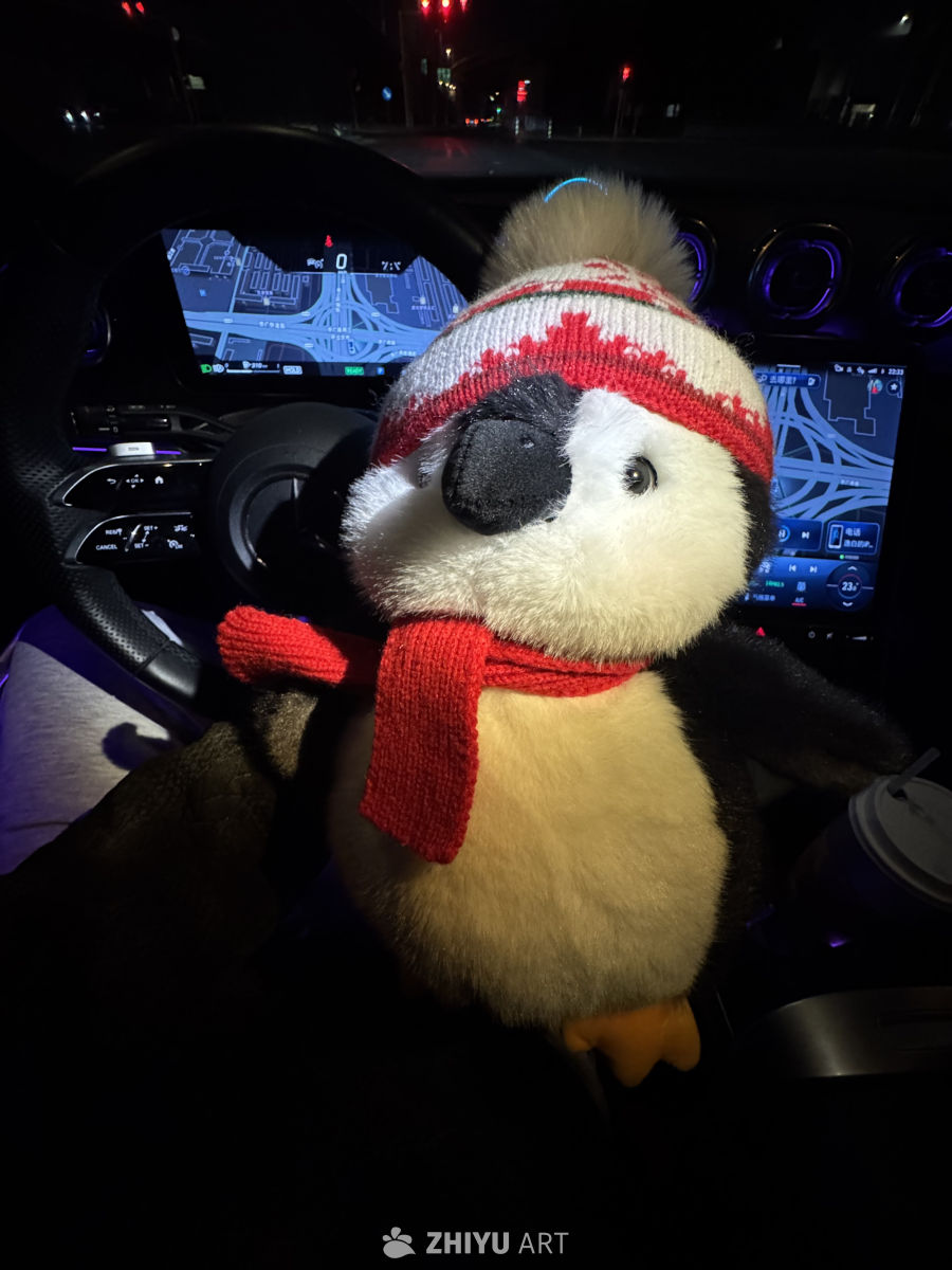 夜晚车内萌企鹅
