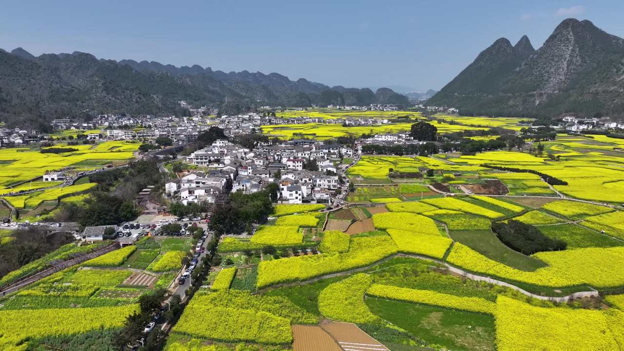 【4k合集30段】航拍油菜花海 春天花海