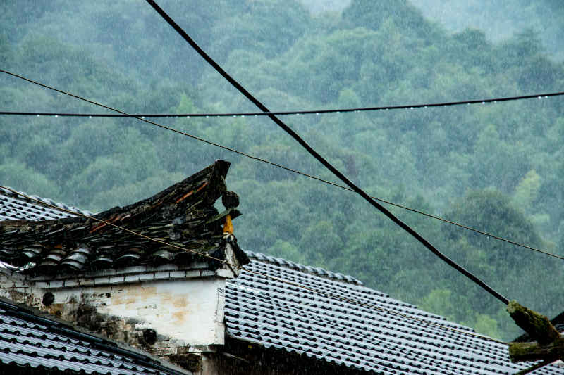 景德镇随拍 1