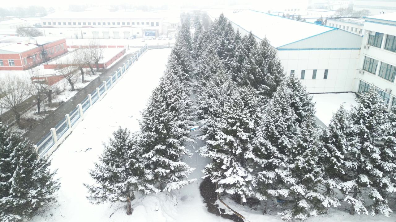DJI_0167 6