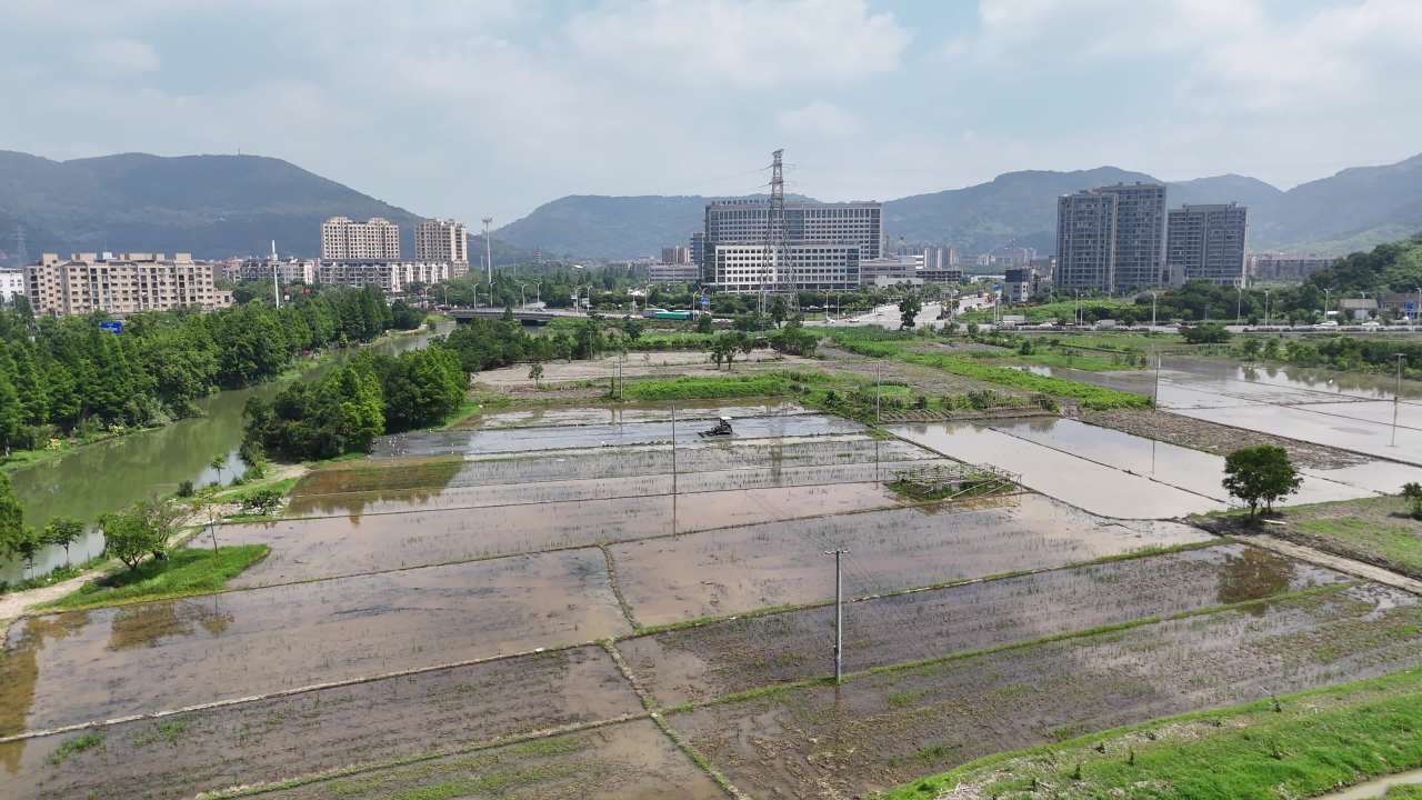城市边缘的农田风光