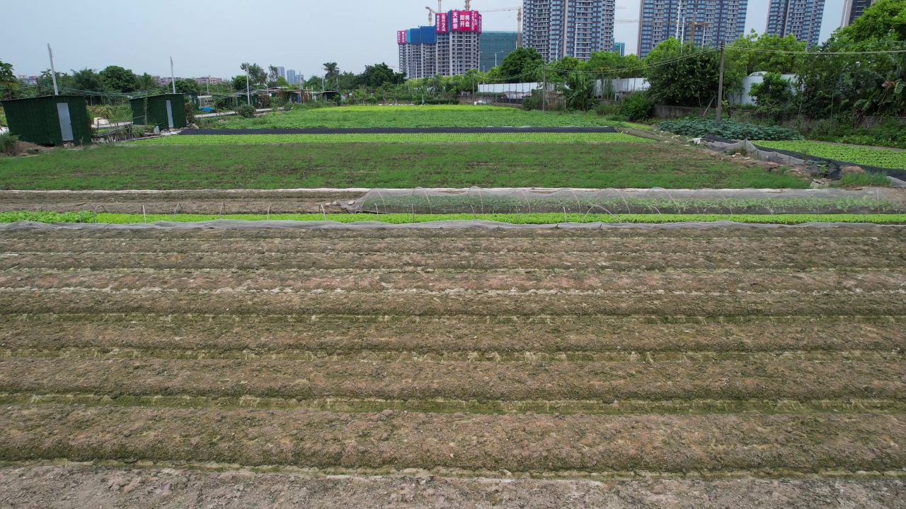 城郊农业基地航拍 2