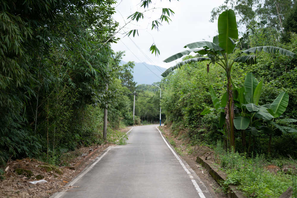 乡村小路