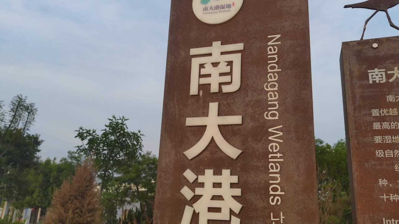 湿地 4