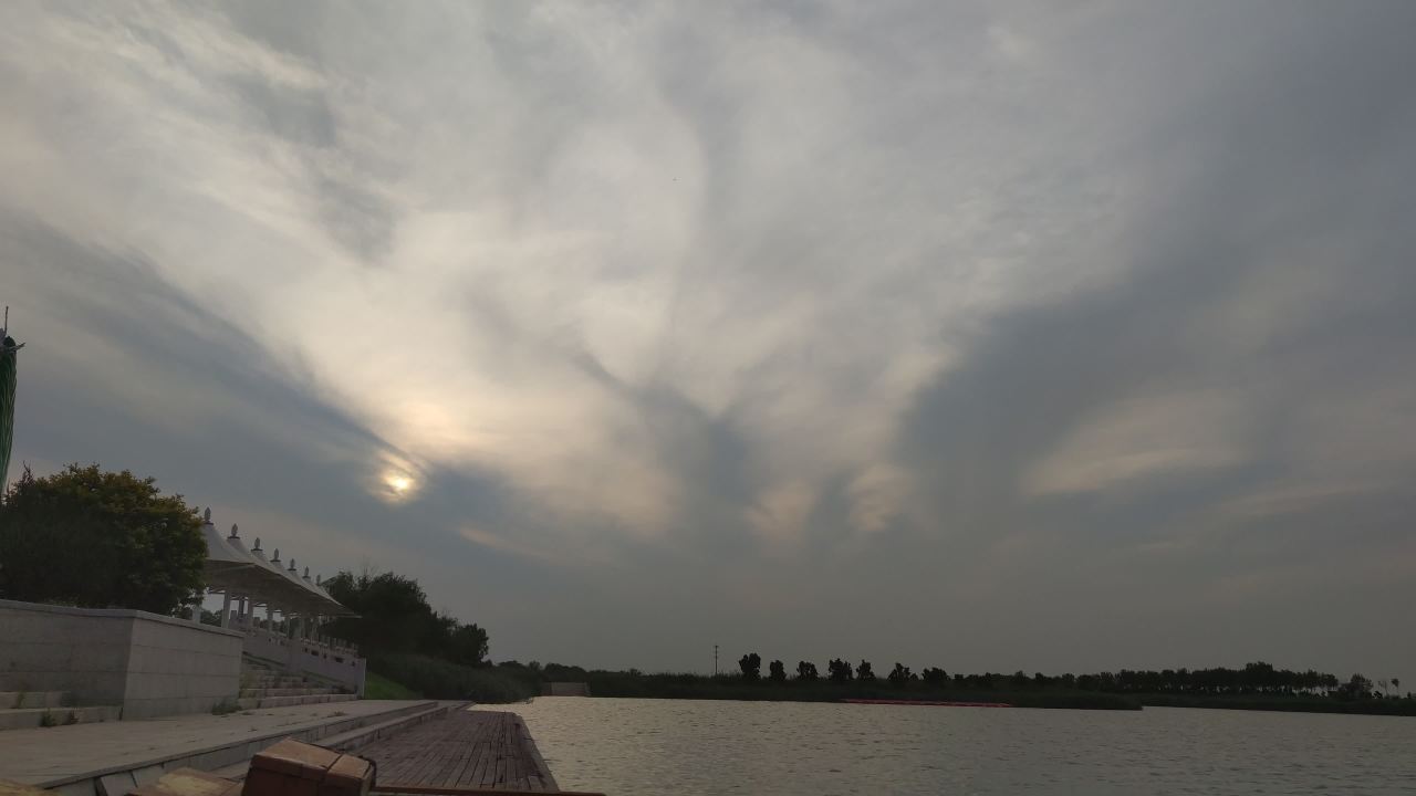 湿地 9