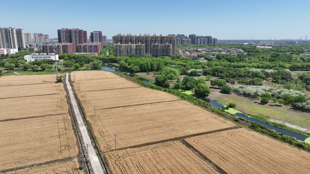 4K航拍昆山农业夏收 34