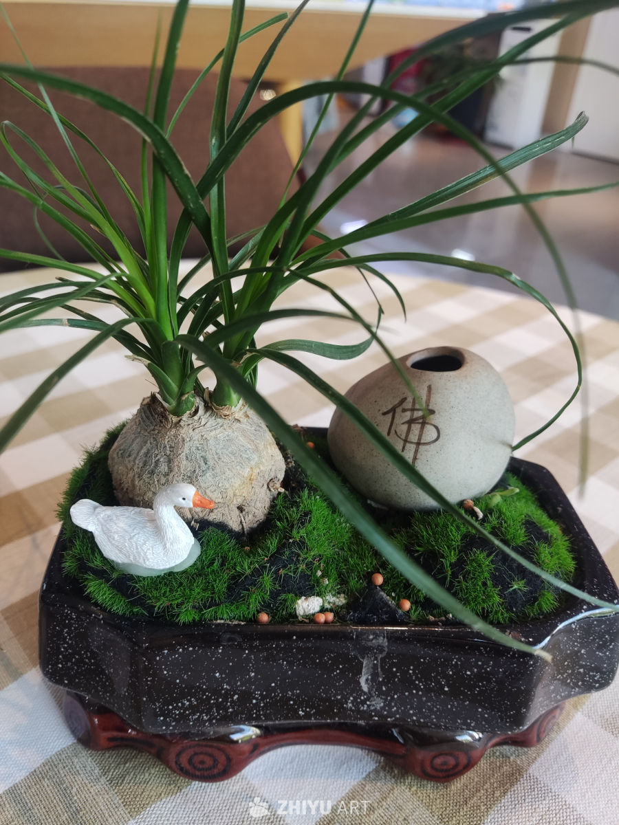 静心