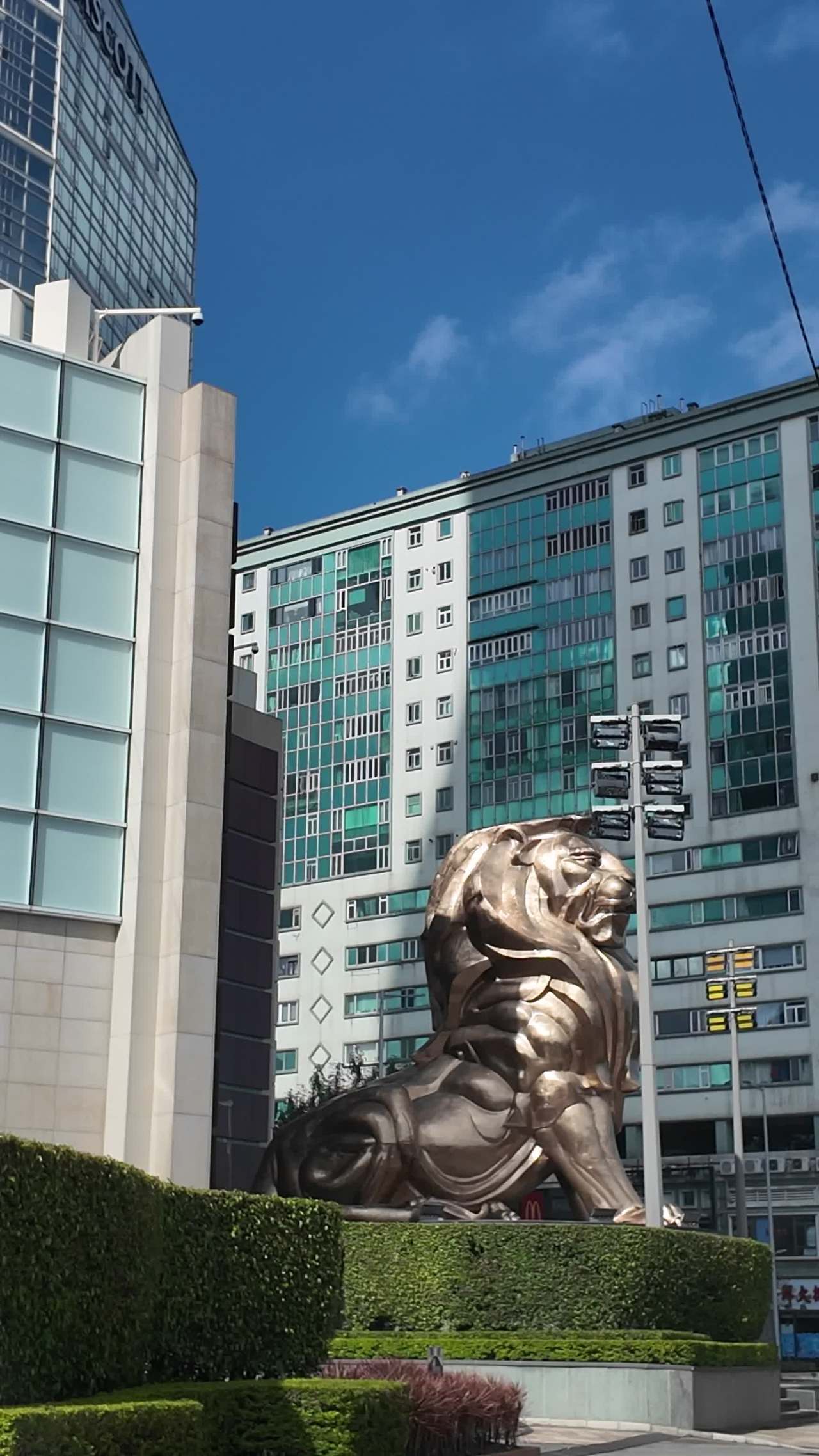 澳门城市 6