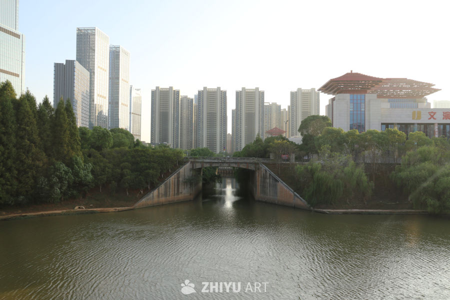 城市湖畔的静谧时光