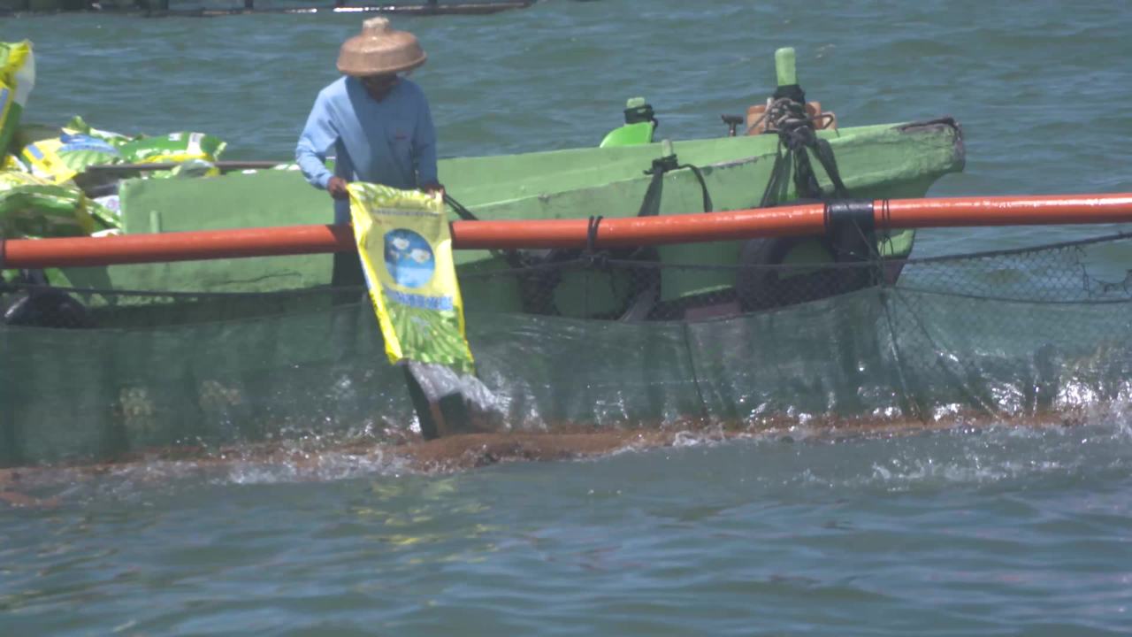 海洋牧场深海养殖