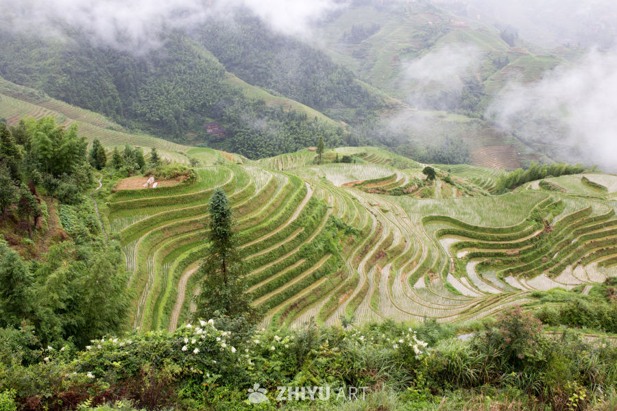 桂林金坑龙脊梯田