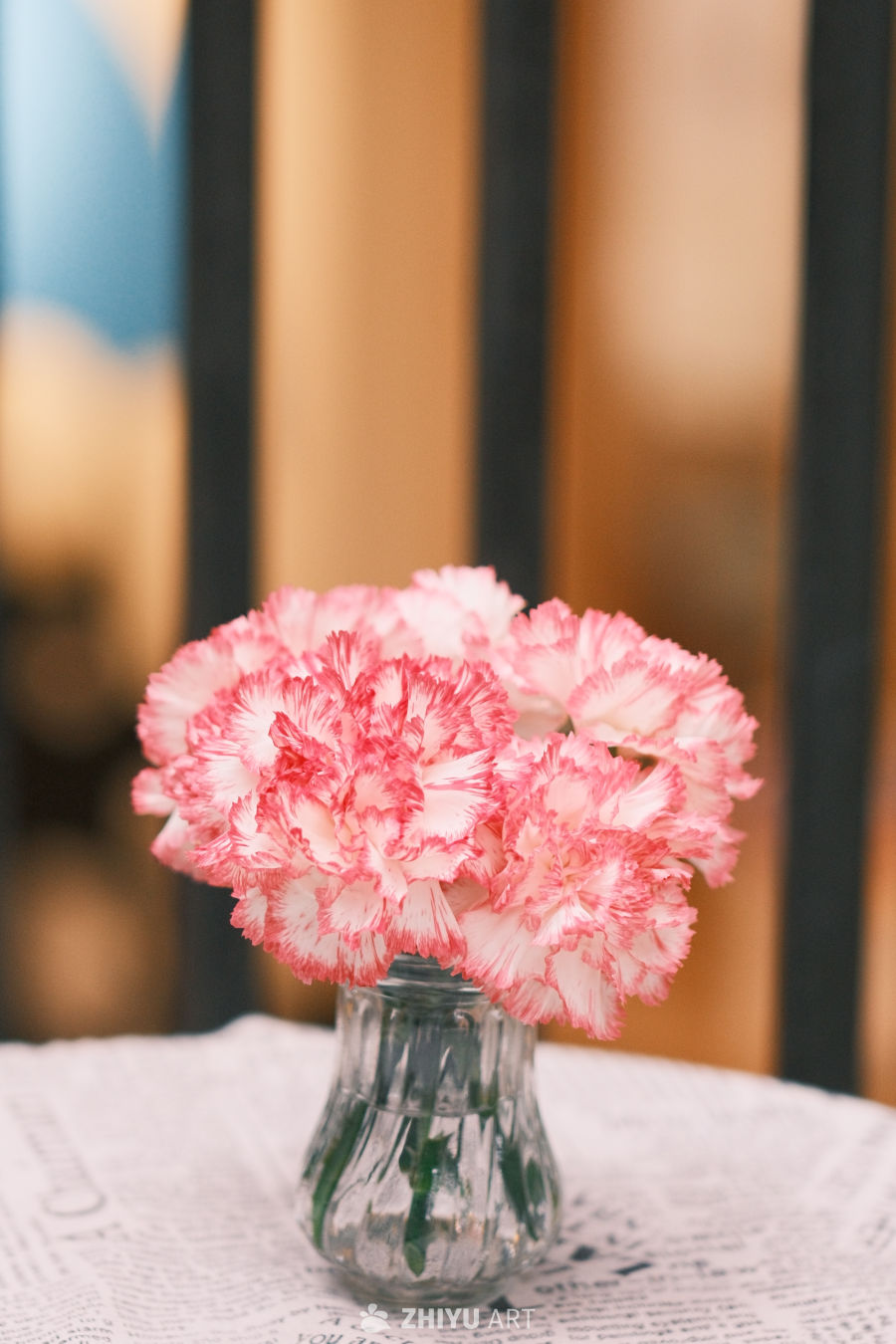 春与花 8