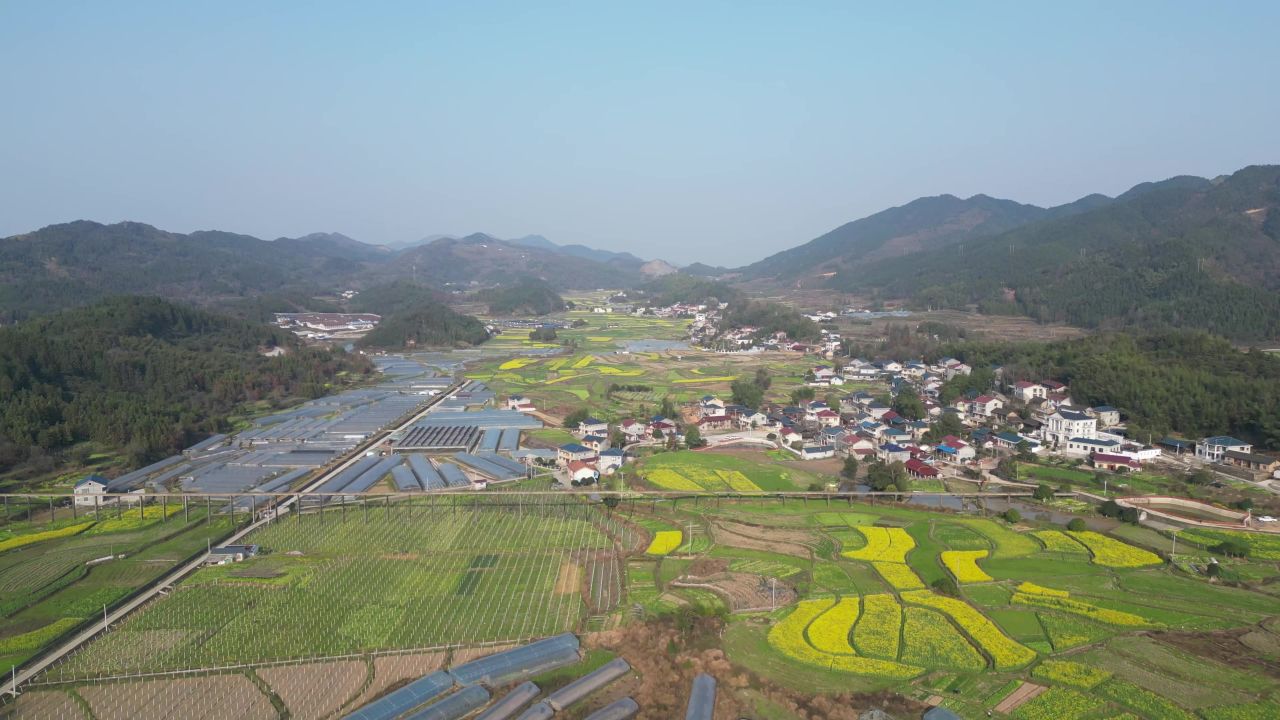 美丽乡村农业种植油菜花农作物航拍 