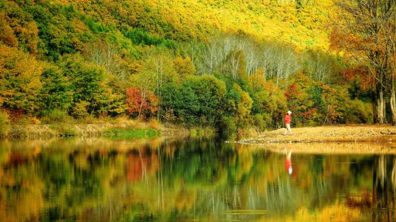 秋色如画 伊春 九峰山 九峰山养心谷 层林尽染   北国之秋  秋天 秋色 秋韵  河流  秋高气爽 倒影 航拍 如画