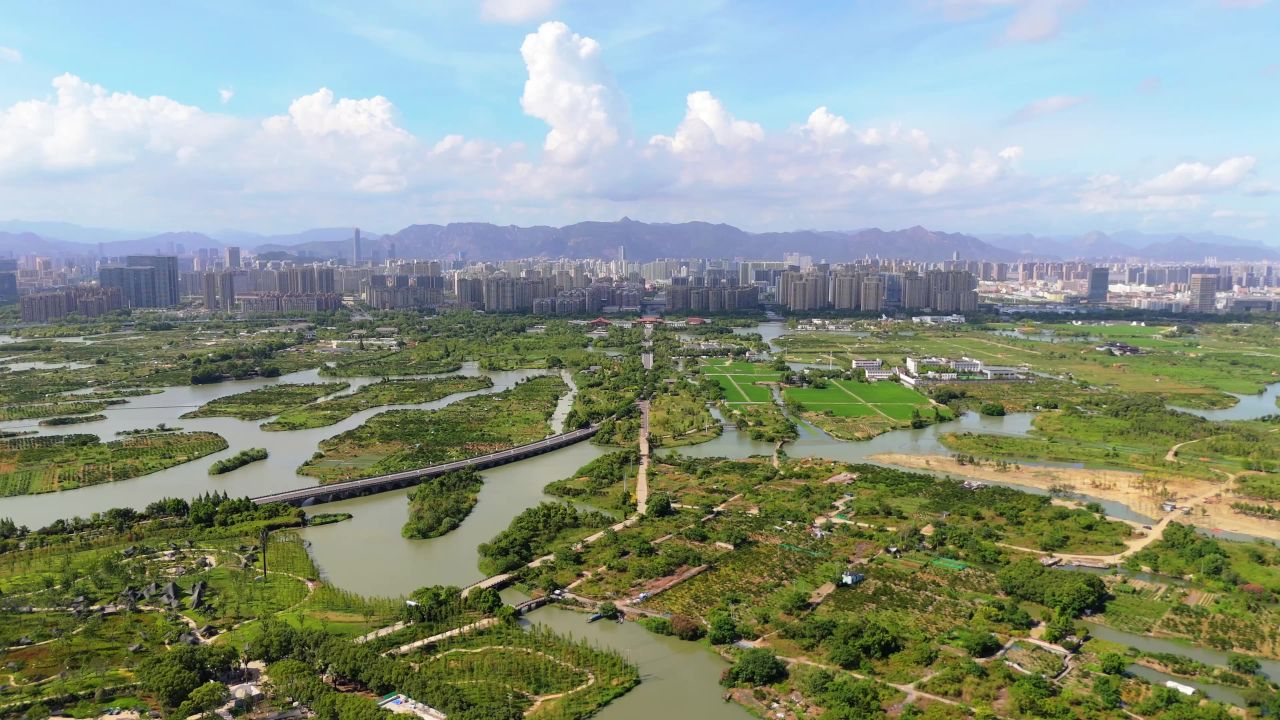 温州三垟湿地 10
