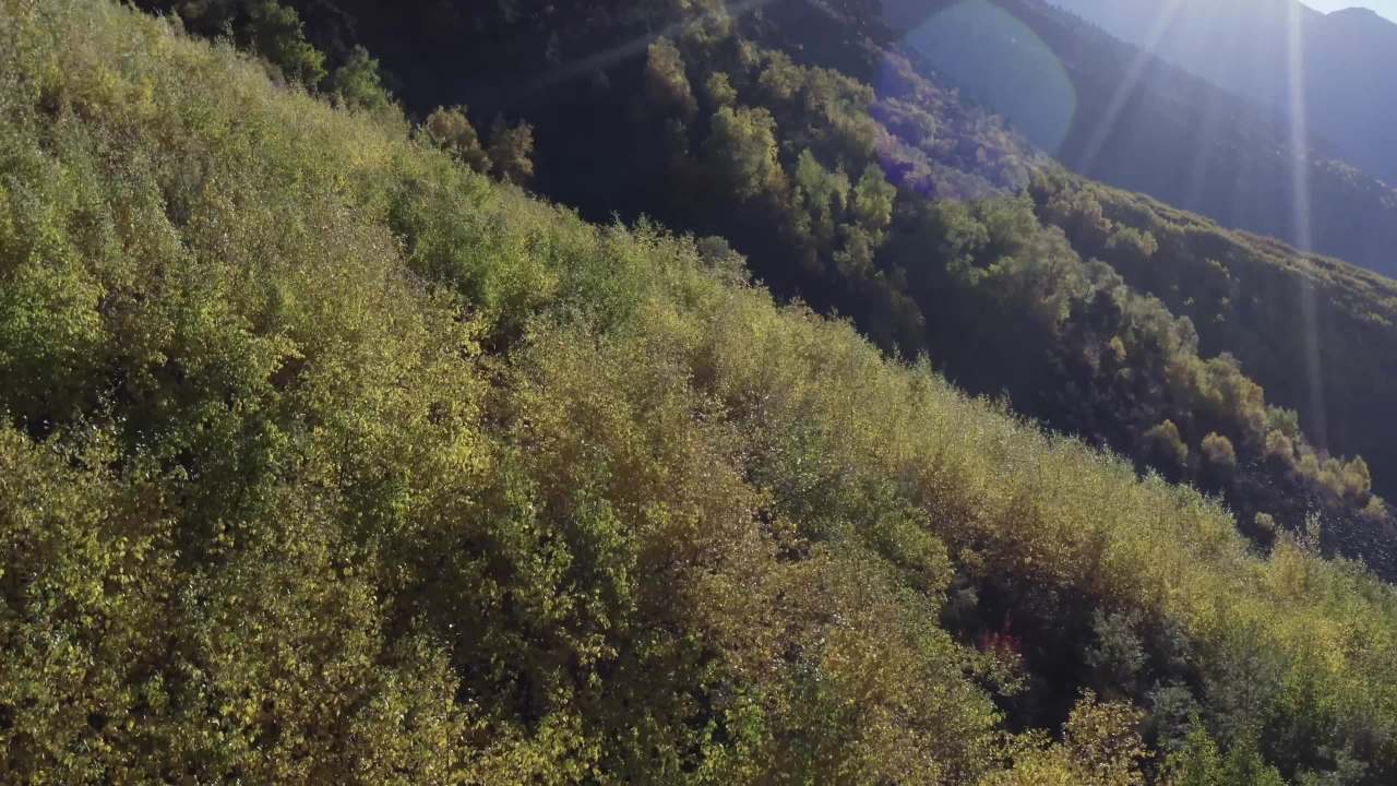 西藏秋季山间湖泊全景