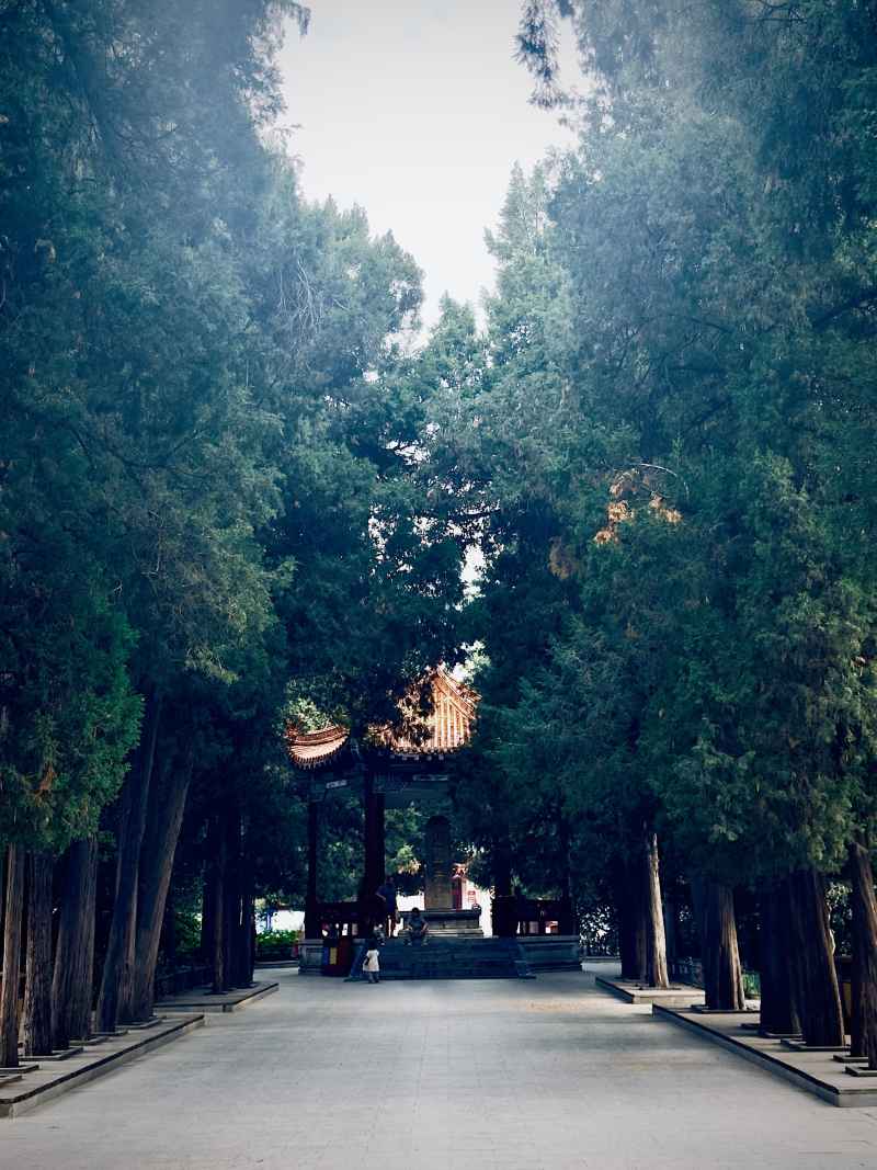 路