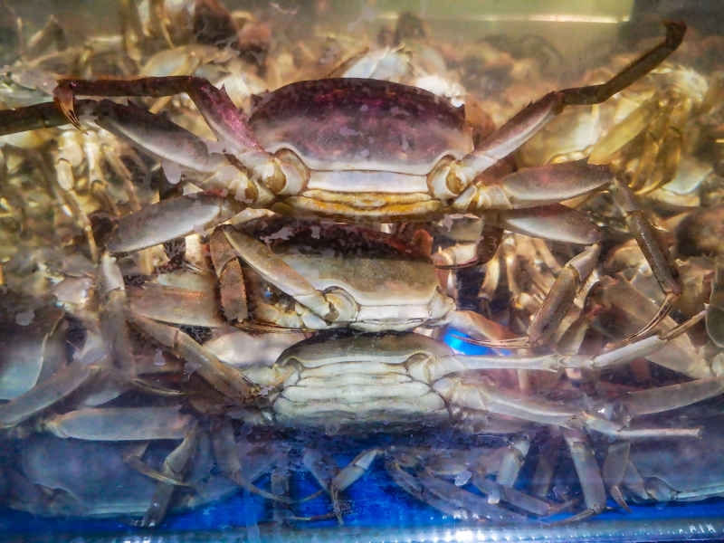 超市生鲜食品摄影图 